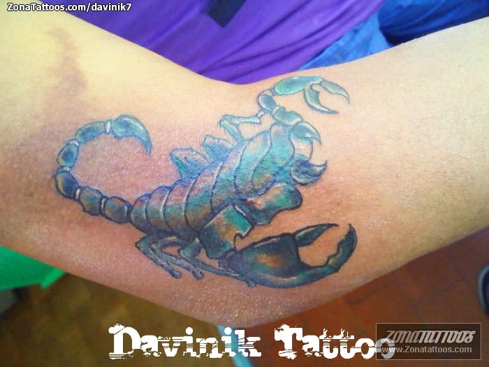 Tattoo photo Scorpions, Insects