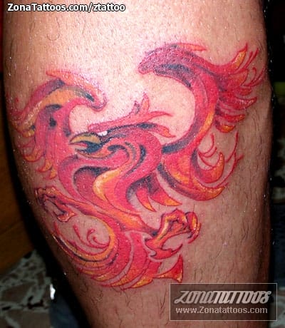 Tattoo photo Phoenix, Calf, Fantasy