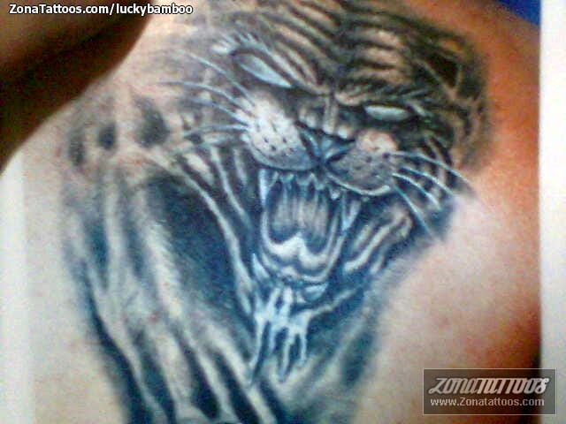 Tattoo photo Animals