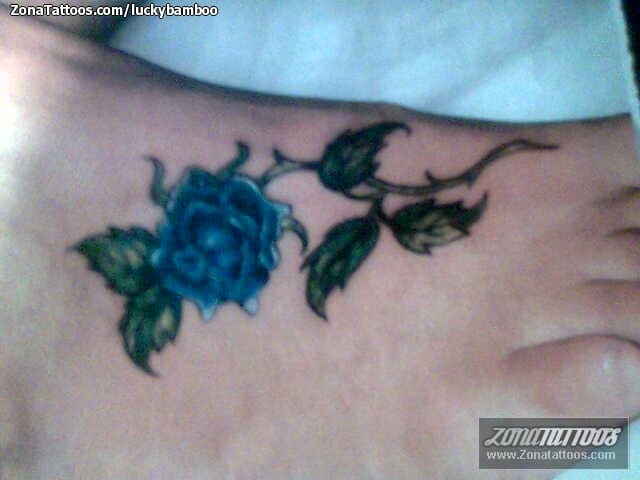 Tattoo photo Flowers, Roses, Instep