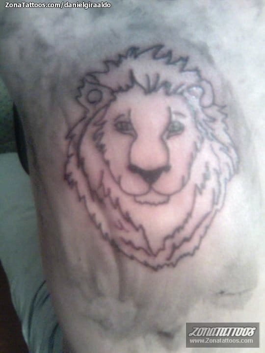 Tattoo photo Lions, Animals