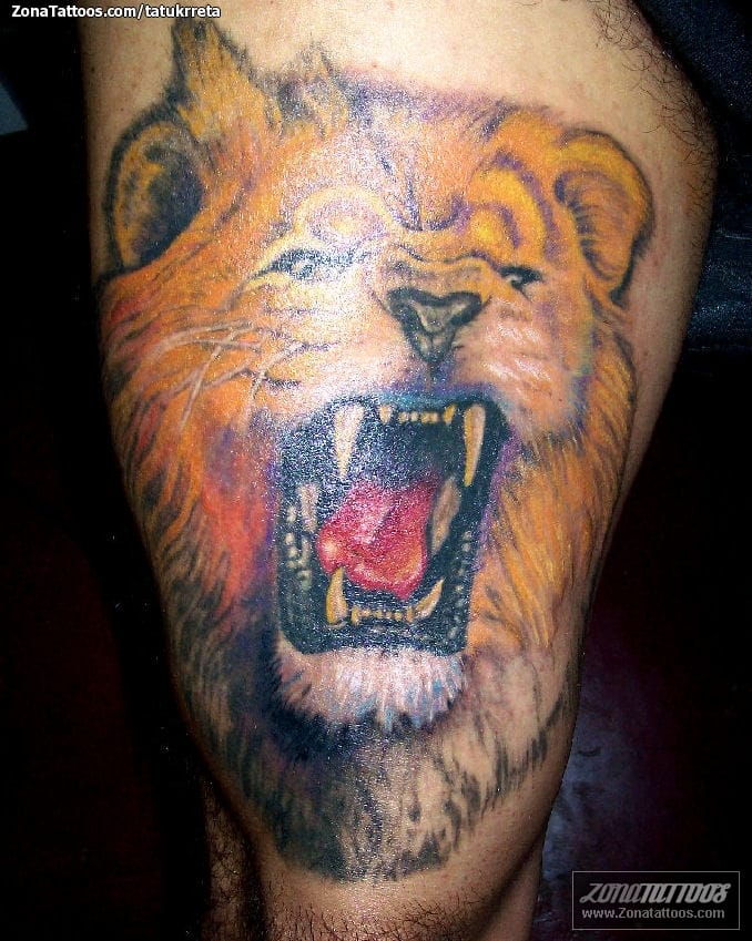 Foto de tatuaje Animales, Leones, Muslo