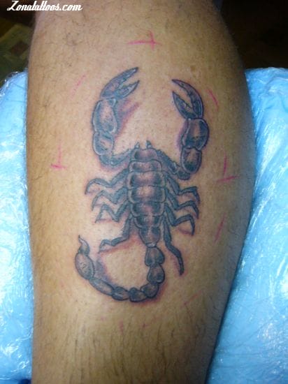 Tattoo photo Scorpions, Insects