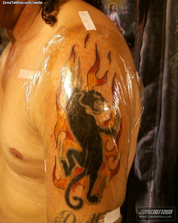 Tattoo photo Panthers, Llamas, Fires