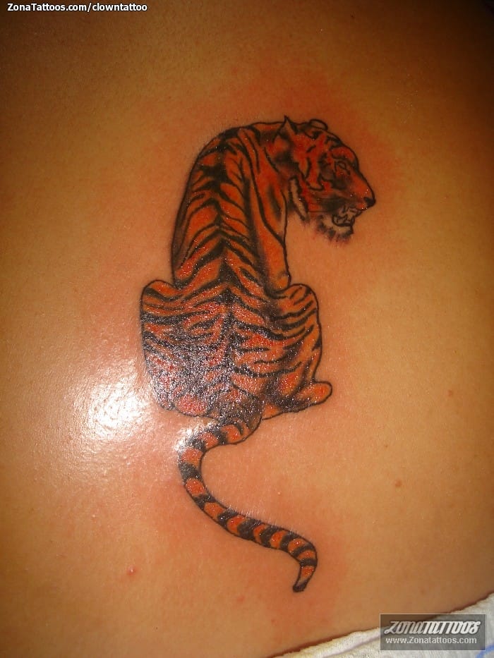 Foto de tatuaje Tigres, Animales