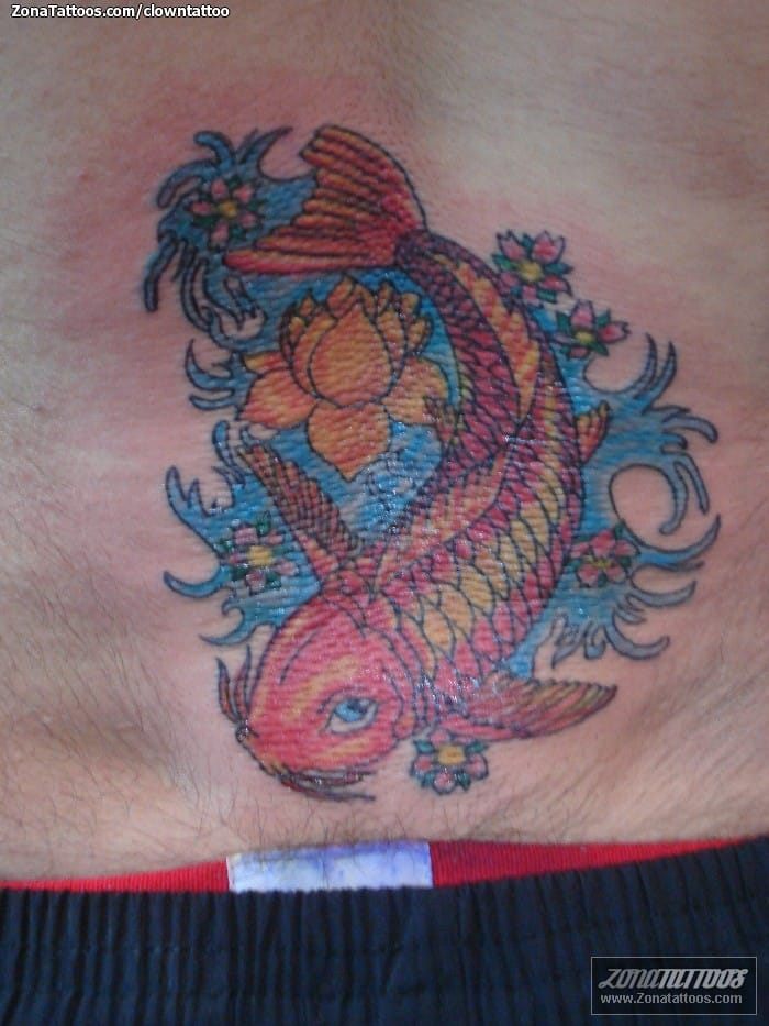 Foto de tatuaje Koi, Peces, Animales