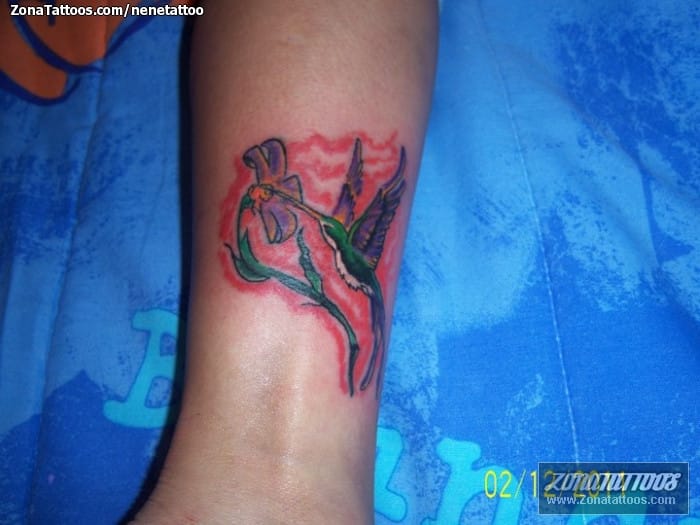 Tattoo photo Humming bird, Birds, Animals