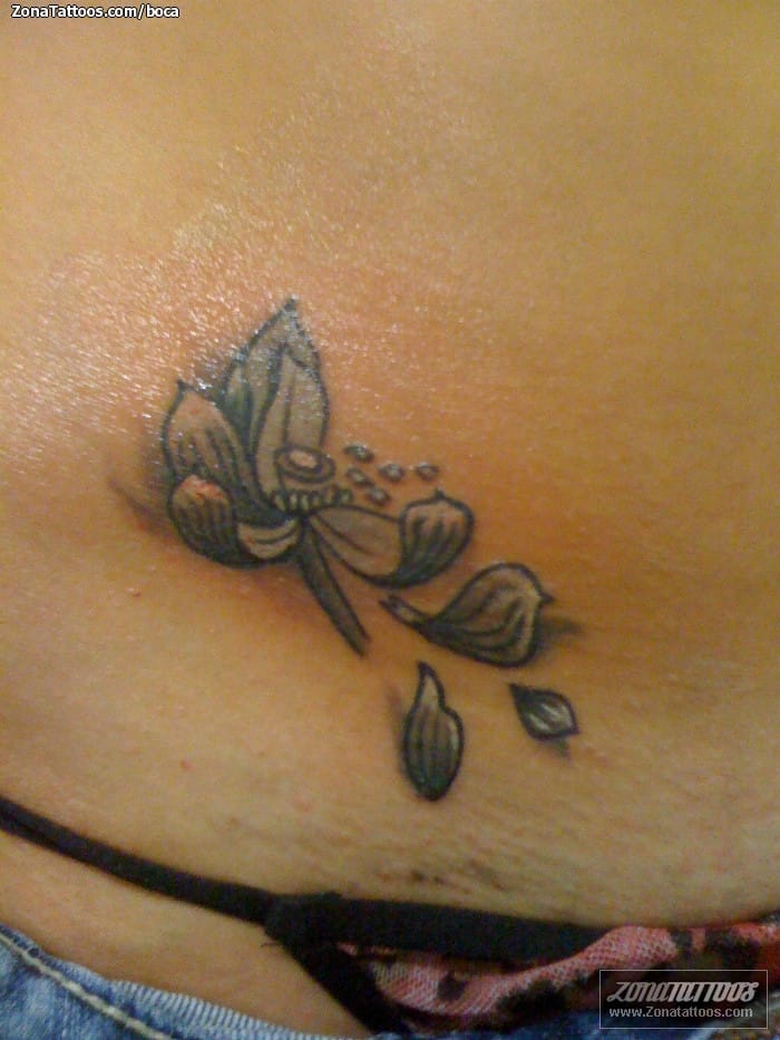 Tattoo photo Lotus, Flowers, Petals