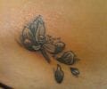 Tattoo by boca