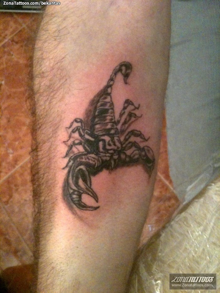 Tattoo photo Scorpions, Insects