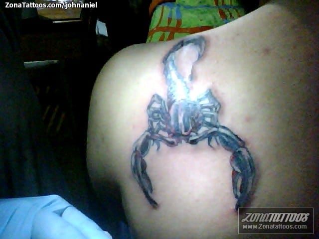 Tattoo photo Scorpions, Insects