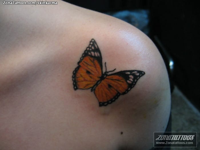 Tattoo photo Butterflies, Insects