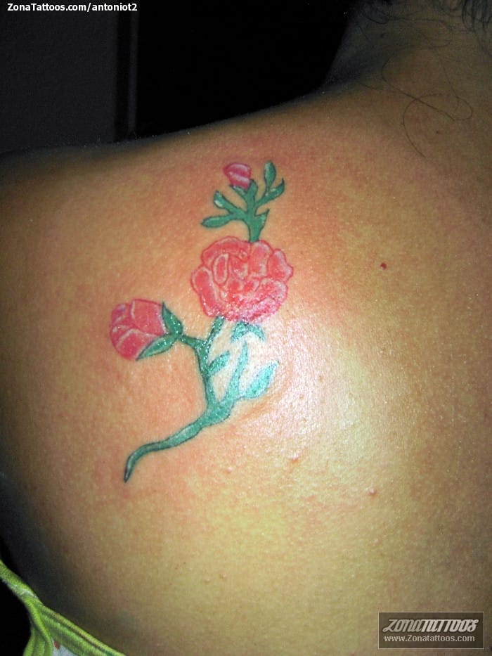 Foto de tatuaje Flores, Rosas