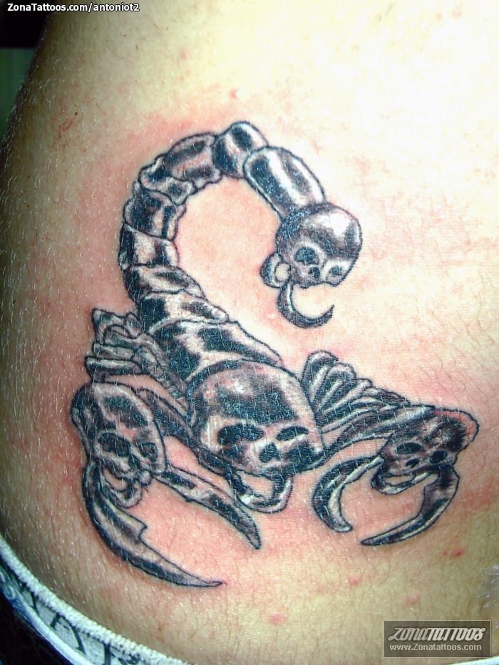 Tattoo photo Scorpions, Insects