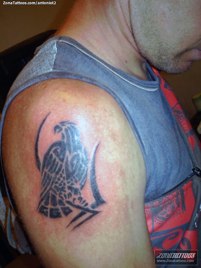 Eagle Tattoo Images  Designs