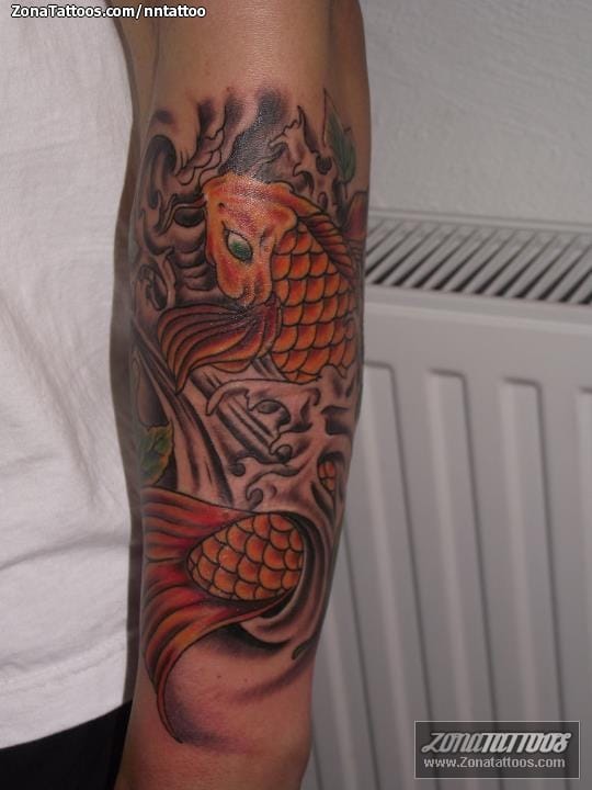 Tattoo photo Koi, Fish, Animals