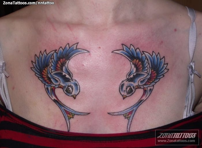 Tattoo photo Swallows, Birds, Animals