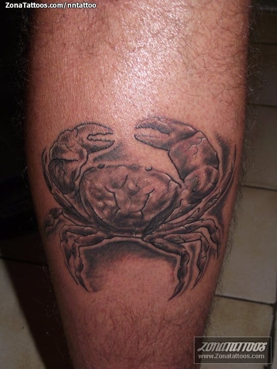 Foto de tatuaje Cangrejos, Animales