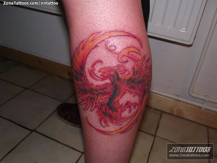 Tattoo photo Phoenix, Fantasy