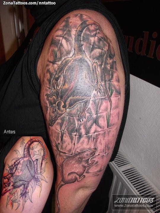 Foto de tatuaje Cover Up, Ratas, Animales