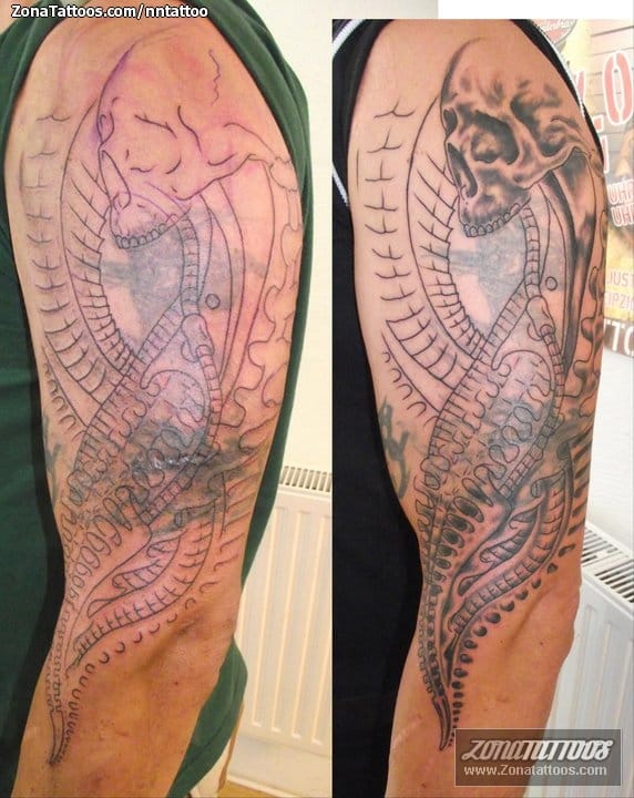 Tattoo photo Cover Up, Biomechanics, Skulls