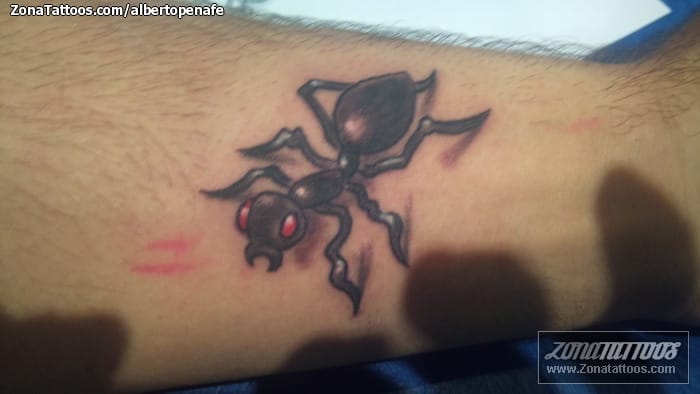 Foto de tatuaje Hormigas, Insectos