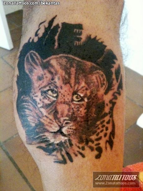 Tattoo photo Leopards, Animals