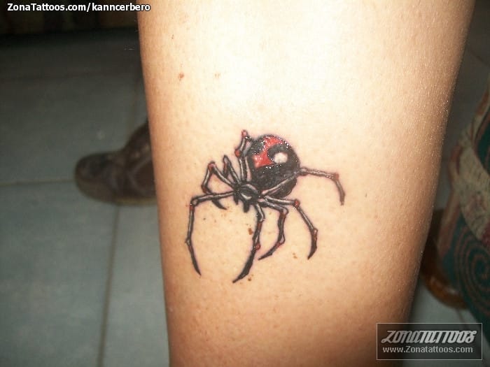 Foto de tatuaje Insectos, Arañas