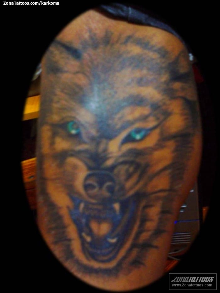 Tattoo photo Animals, Wolfs