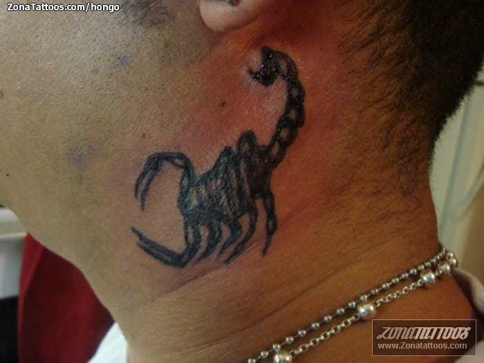 Tattoo photo Scorpions, Insects