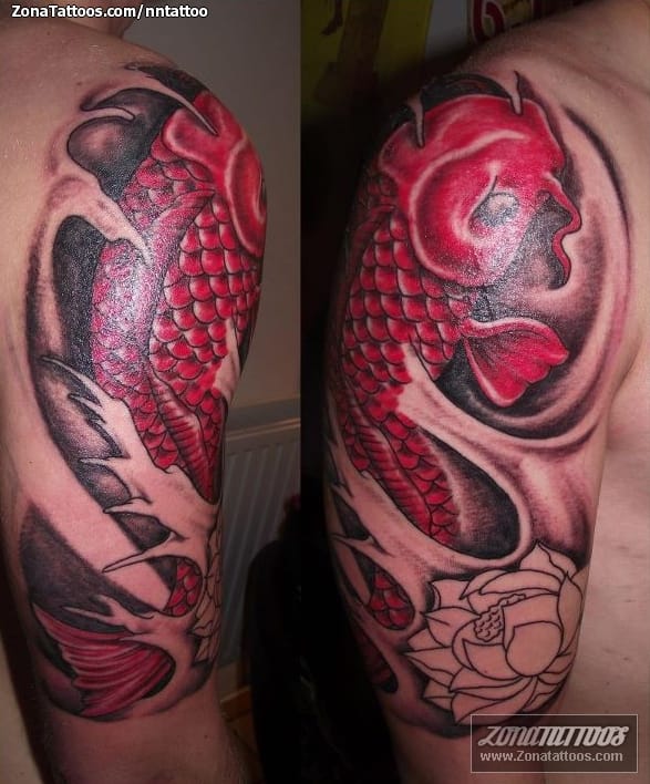 Tattoo photo Koi, Fish, Animals