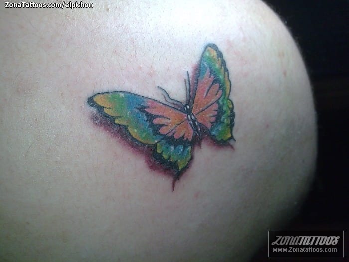 Foto de tatuaje Mariposas, Insectos