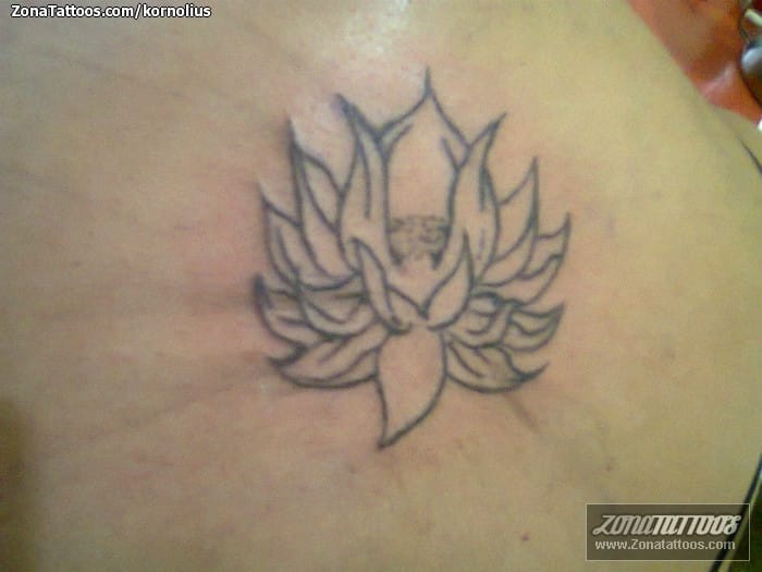 Tattoo photo Lotus, Flowers