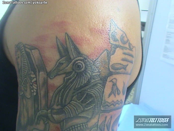 Tattoo photo Egyptian, Anubis