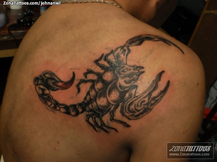 Tattoo photo Scorpions, Insects