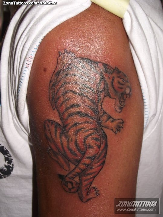 Foto de tatuaje Tigres, Animales