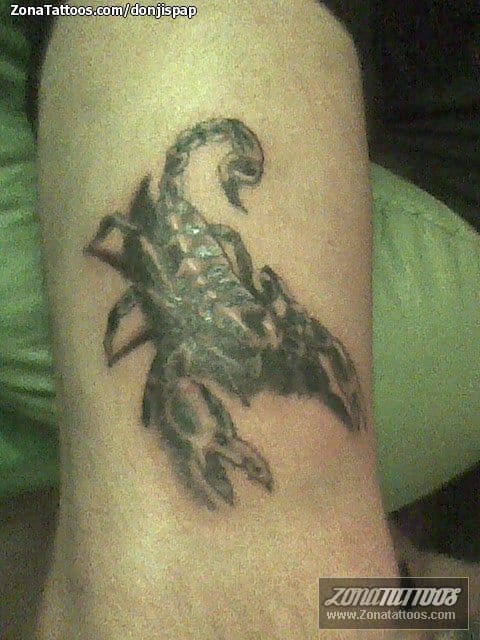 Tattoo photo Scorpions, Insects