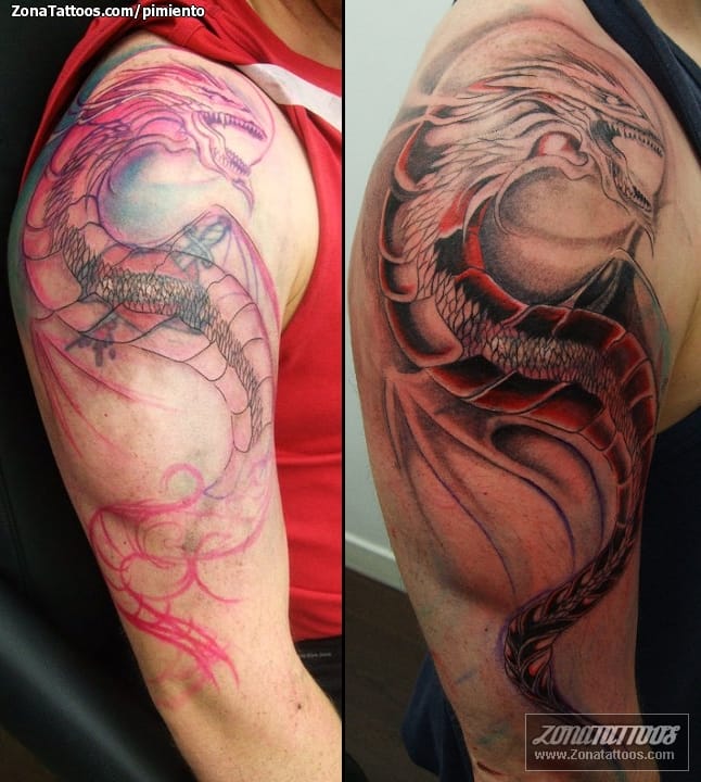 Tattoo photo Dragons, Fantasy, Cover Up