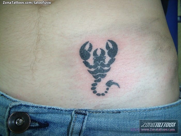 Tattoo photo Scorpions, Insects