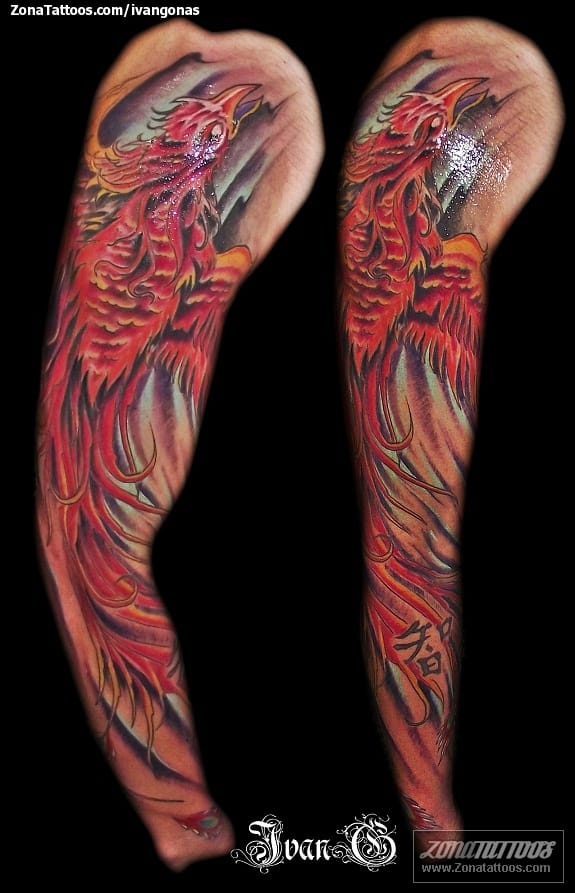 Tattoo photo Fantasy, Phoenix, Sleeves