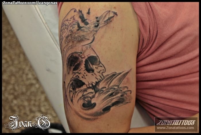 Tattoo photo Skulls, Crows