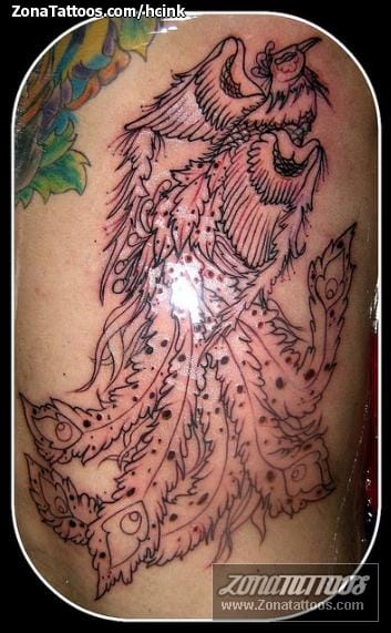 Tattoo photo Lyrebird, Animals