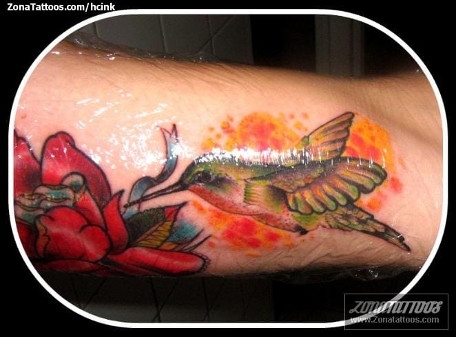 Tattoo photo Humming bird, Birds, Animals