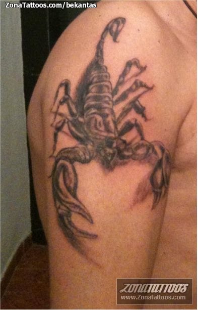 Tattoo photo Scorpions, Insects