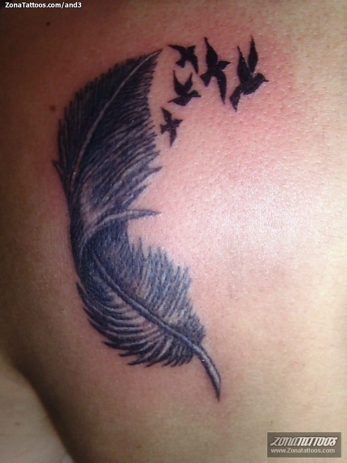 Tattoo photo Birds, Feathers