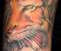 Tattoo by gunnar