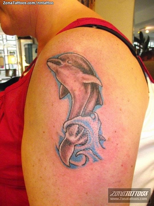 Tattoo photo Dolphins, Animals