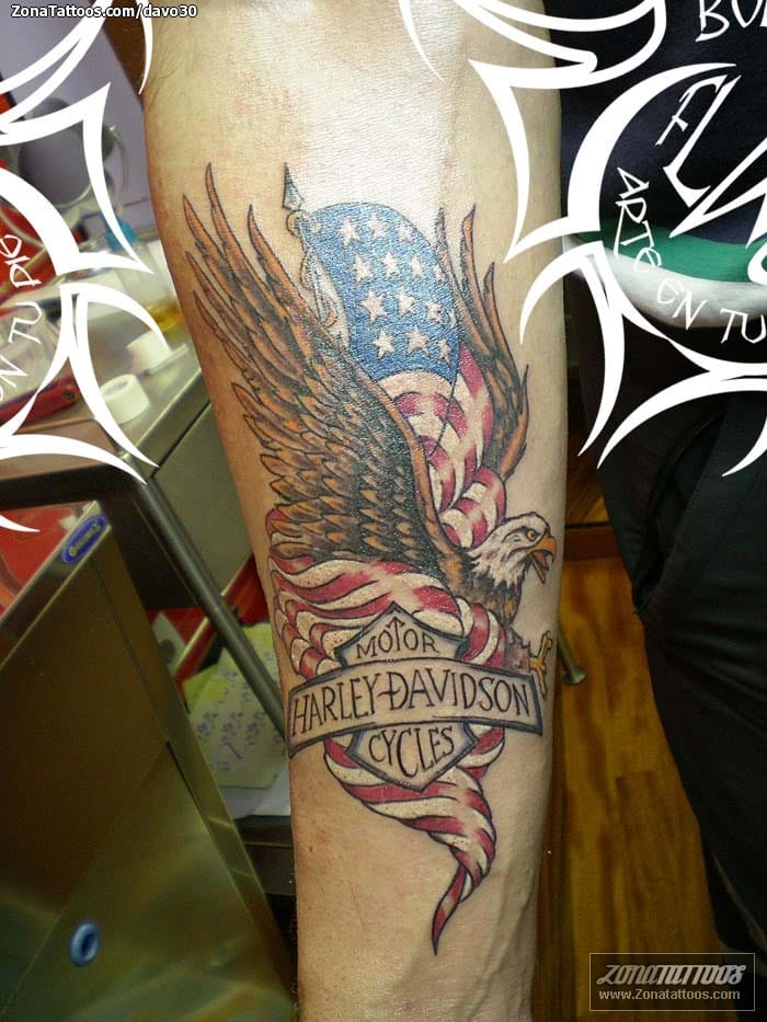 Tattoo photo Eagles, Harley-davidson, Birds