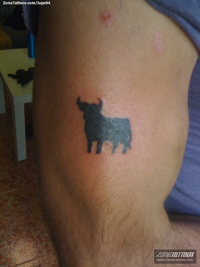 Foto de tatuaje Toros, Animales