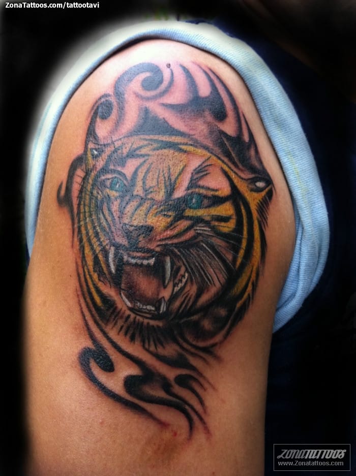 Foto de tatuaje Tigres, Animales